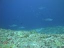 DSC01150.JPG