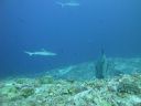 DSC01158.JPG