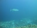DSC01162.JPG