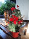 DSC01163.JPG