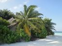 DSC01168.JPG