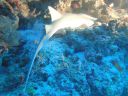 DSC01175.JPG