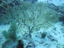 DSC01176.JPG