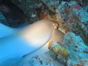 DSC01178.JPG