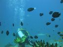 DSC01180.JPG