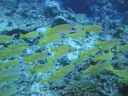 DSC01182.JPG