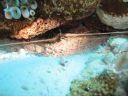 DSC01186.JPG