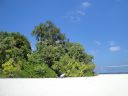 DSC01188.JPG
