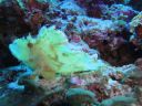 DSC01194.JPG