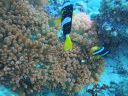 DSC01198.JPG