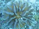 DSC01204.JPG
