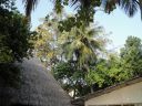 DSC01207.JPG