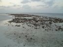 DSC01208.JPG