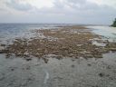 DSC01209.JPG