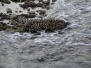 DSC01210.JPG