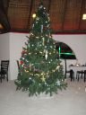 DSC01249.JPG