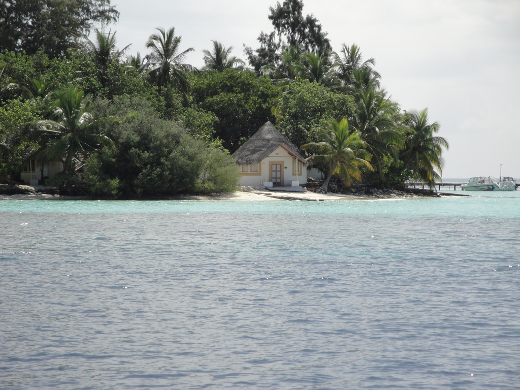 DSC00015.JPG