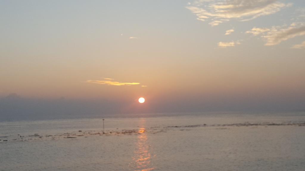 DSC00058-2.jpg