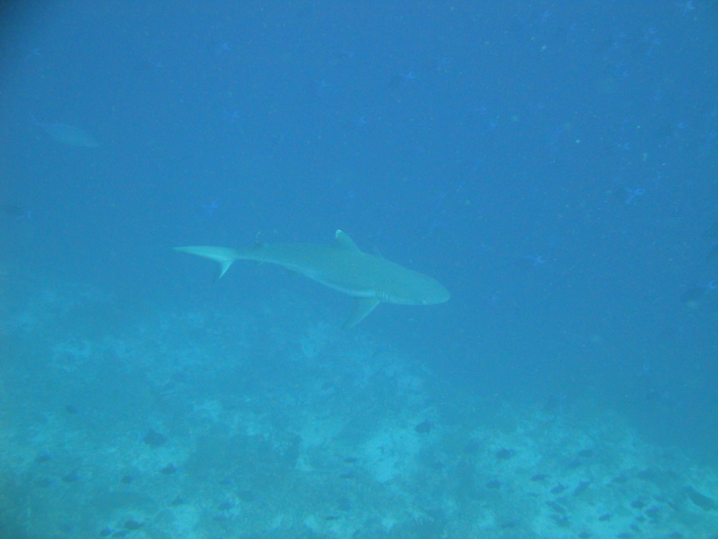 DSC00060.JPG