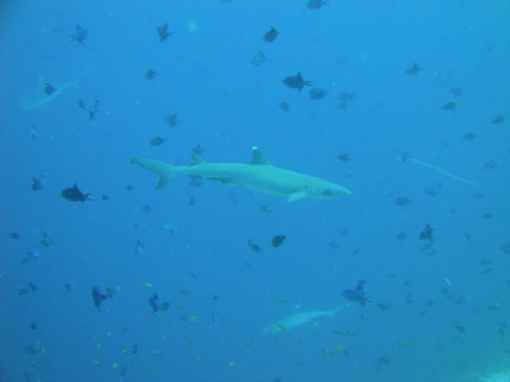 DSC00067.JPG