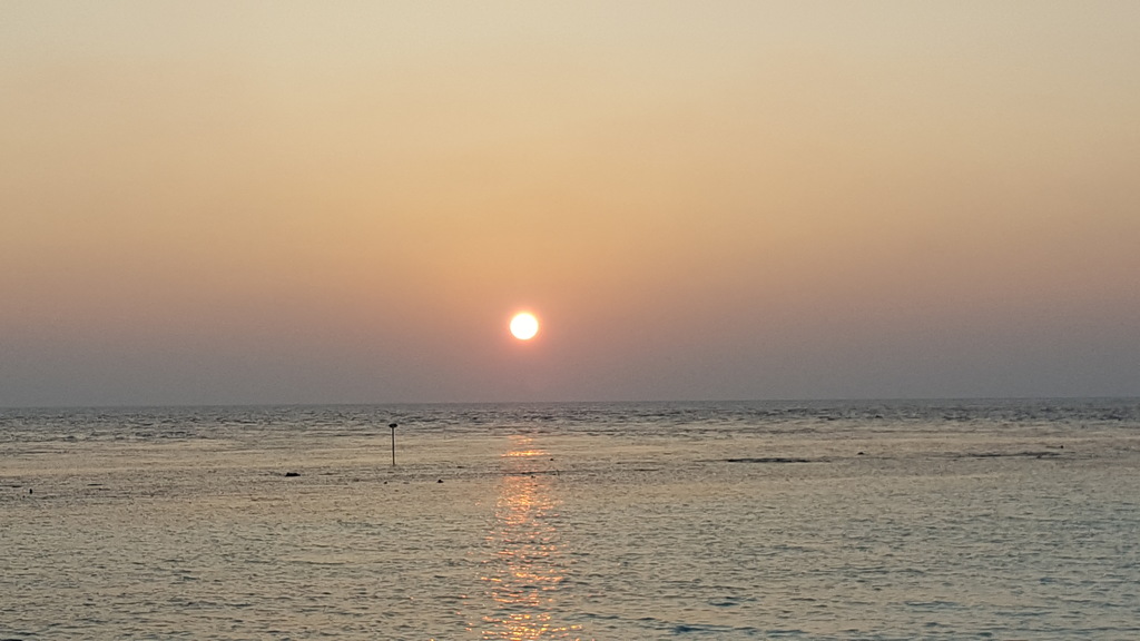 DSC00102-3.jpg