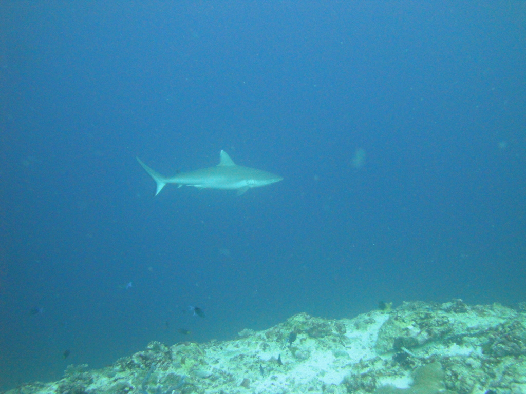 DSC00113.JPG