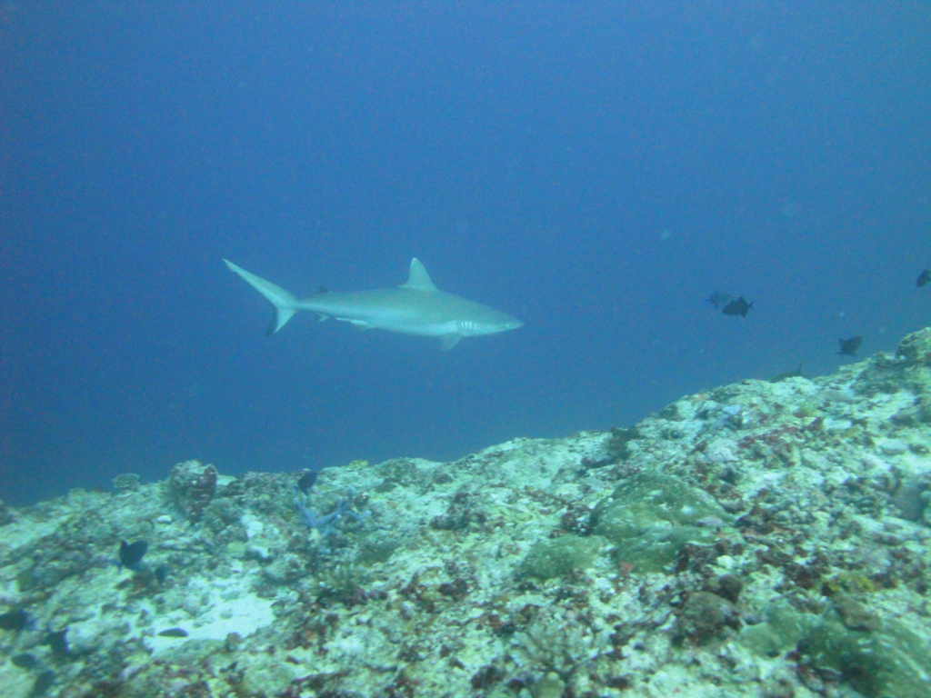 DSC00114.JPG