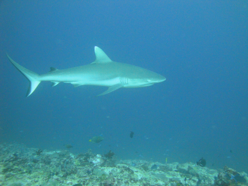 DSC00116.JPG