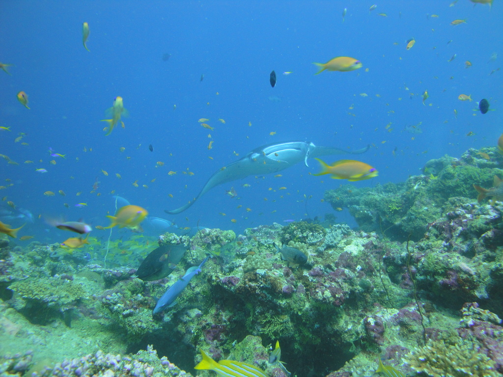 DSC00315.JPG