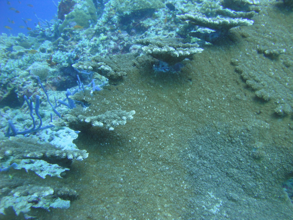 DSC00493.JPG