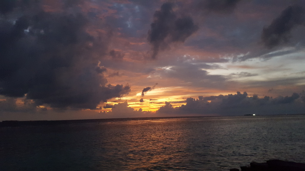 DSC00569-3.jpg