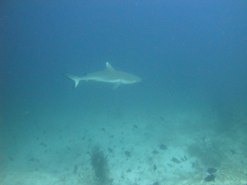 DSC00574.JPG