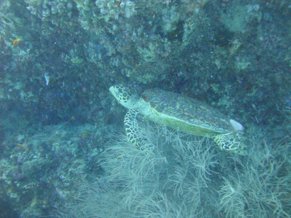 DSC00585.JPG