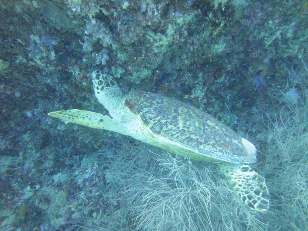 DSC00586.JPG