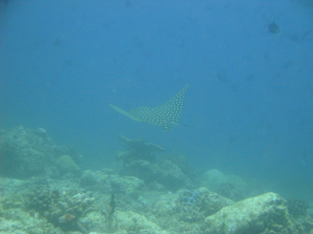 DSC00593.JPG