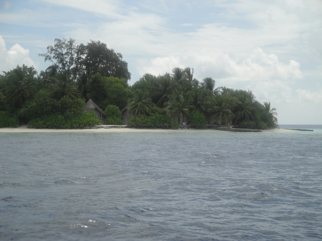 DSC00598.JPG