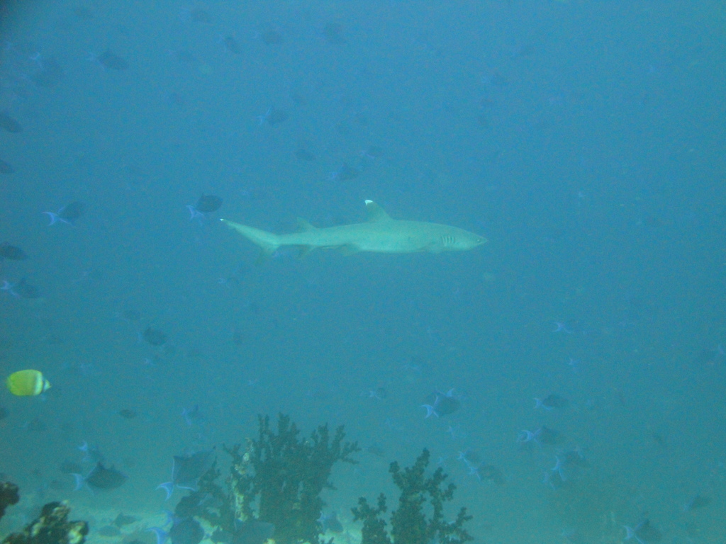 DSC00602.JPG