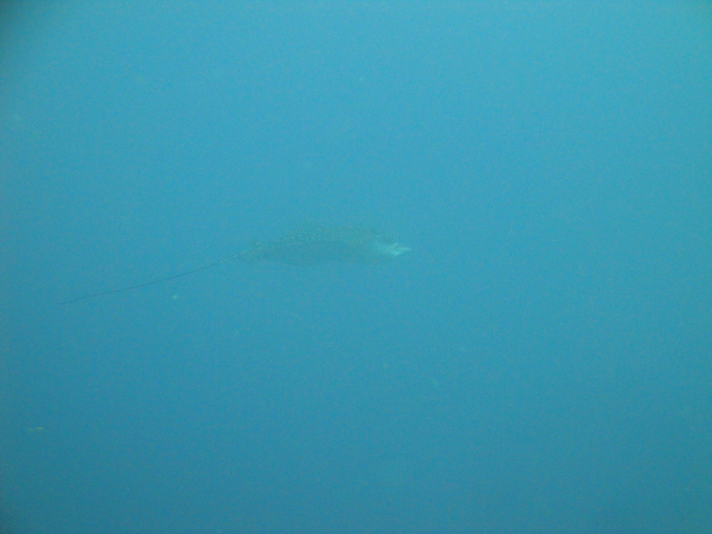 DSC00625.JPG
