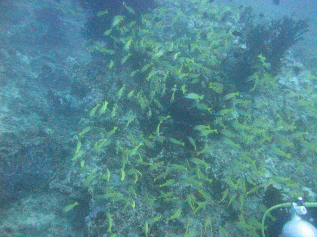 DSC00708.JPG