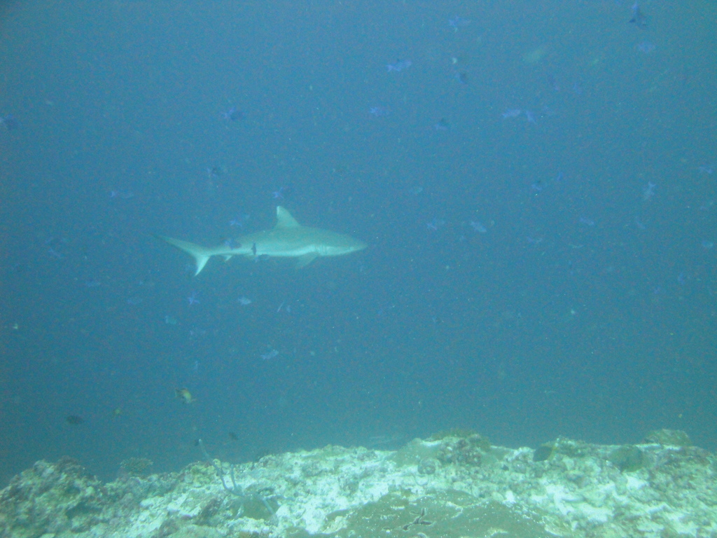 DSC00728.JPG