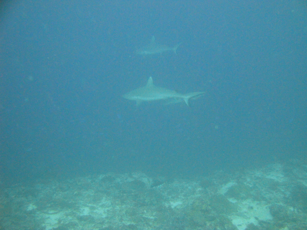 DSC00744.JPG