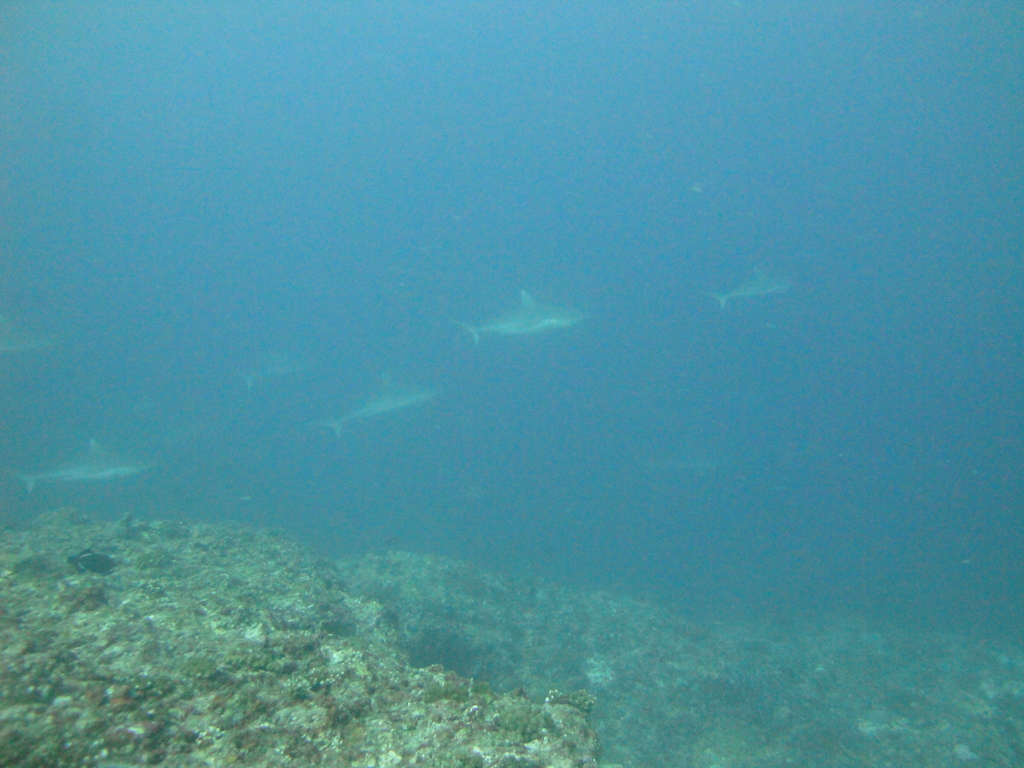 DSC00748.JPG