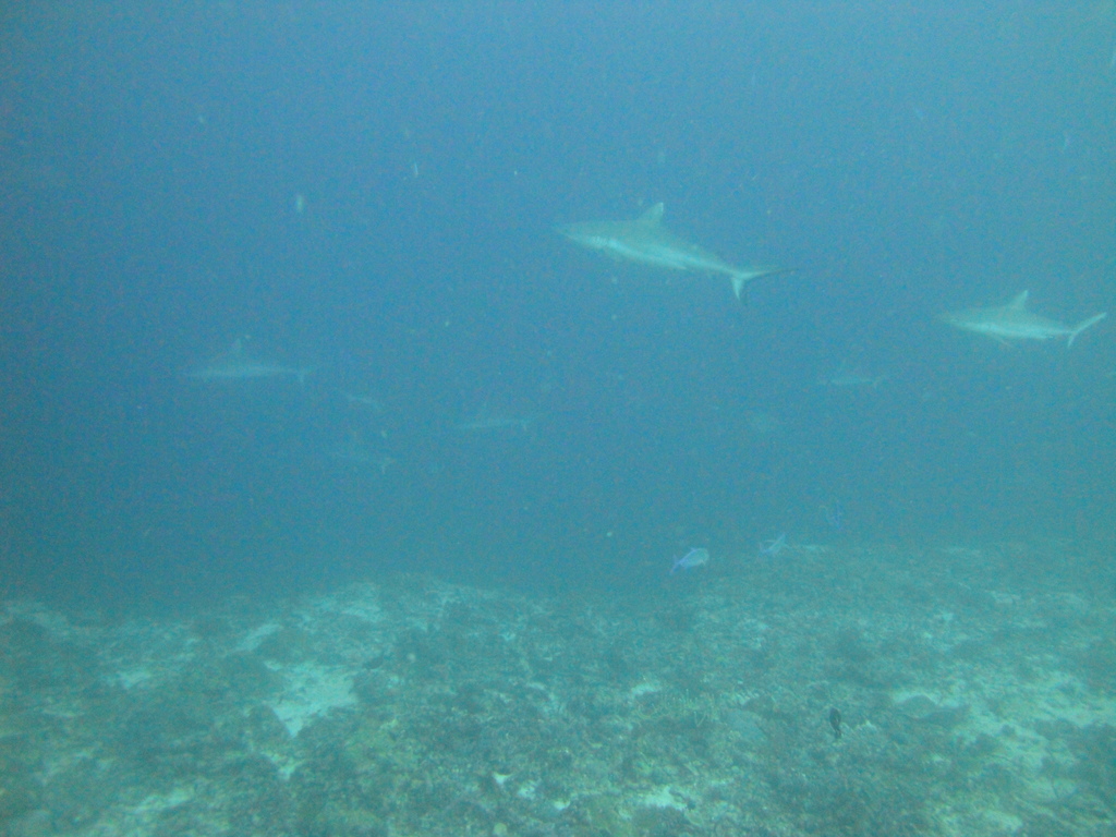 DSC00757.JPG