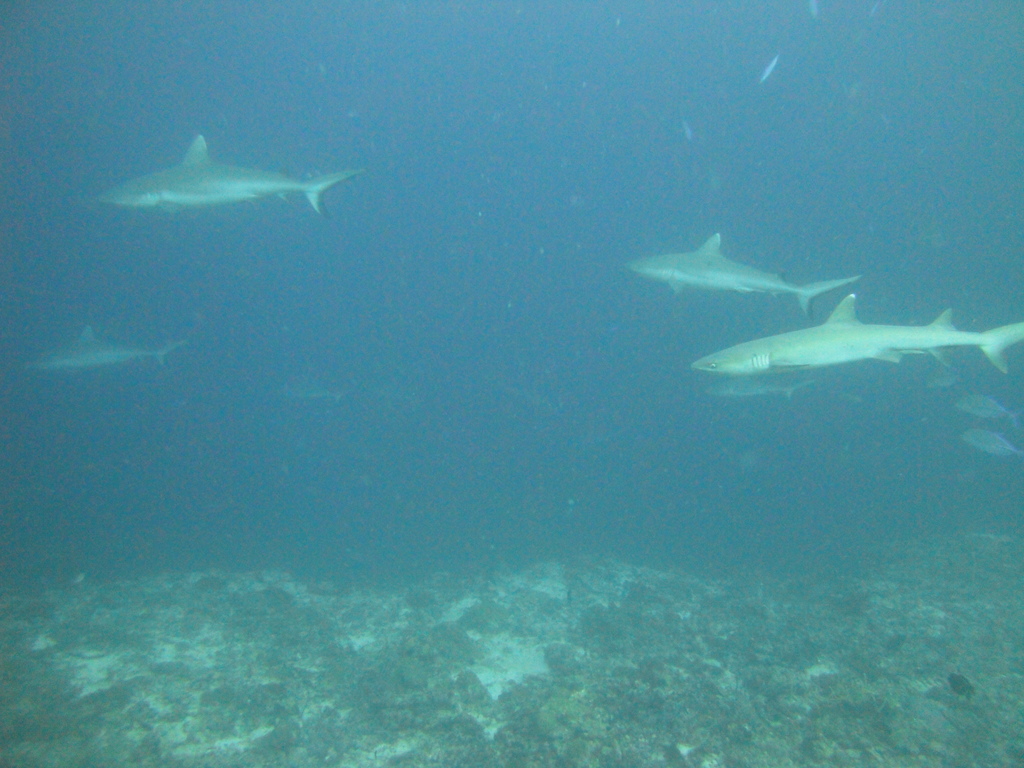 DSC00758.JPG