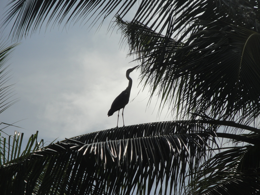 DSC00764.JPG