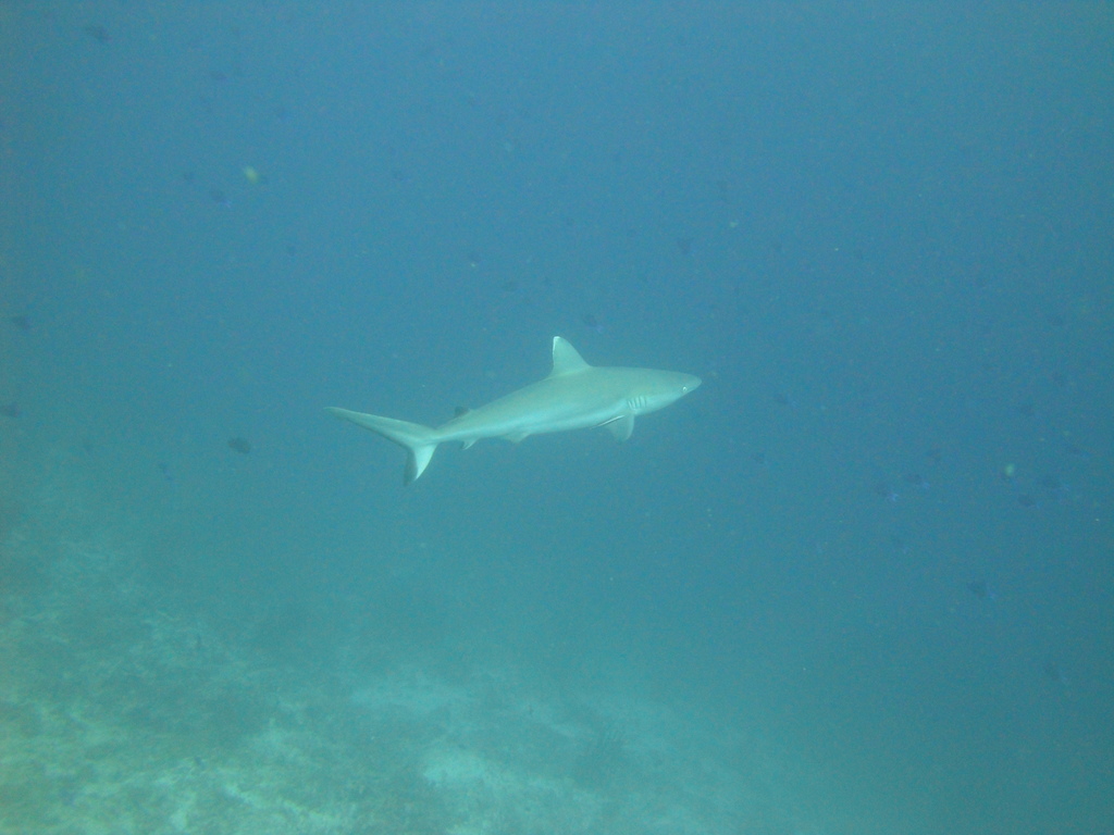 DSC00769.JPG