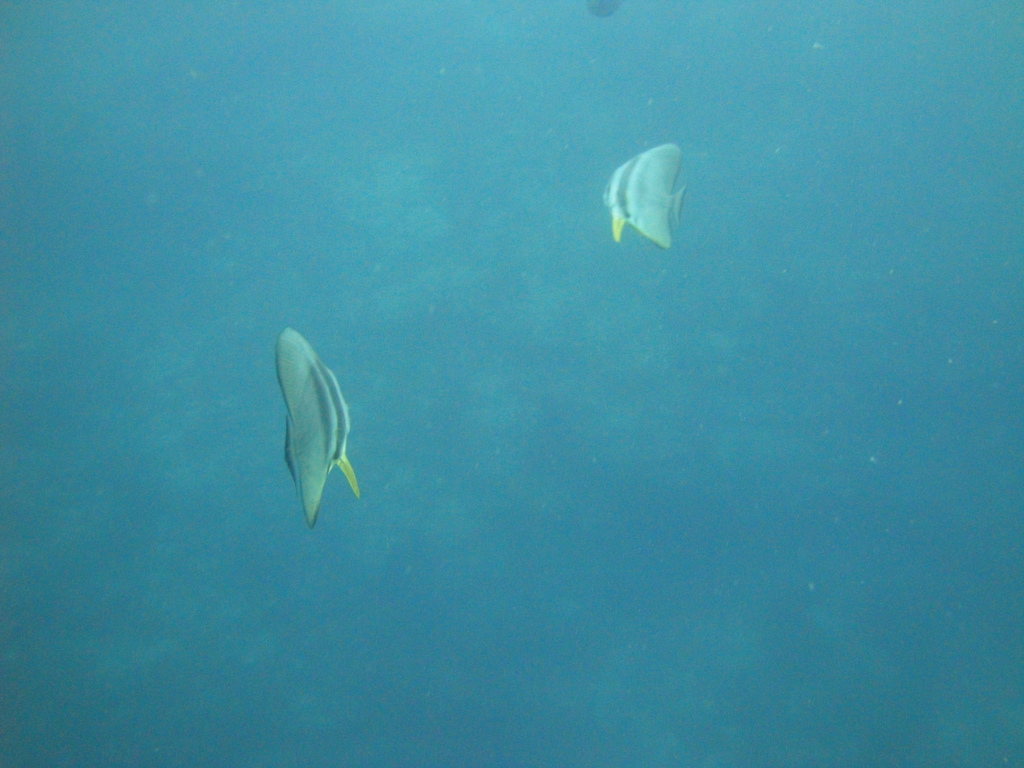 DSC00776.JPG