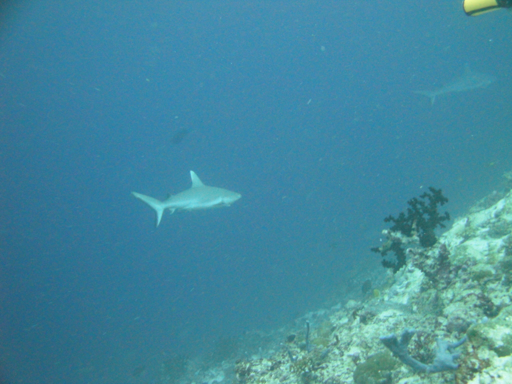 DSC00777.JPG