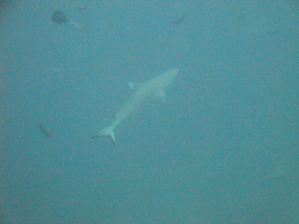 DSC00788.JPG