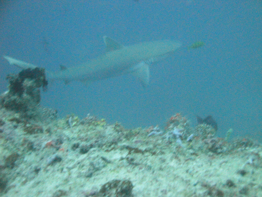 DSC00790.JPG